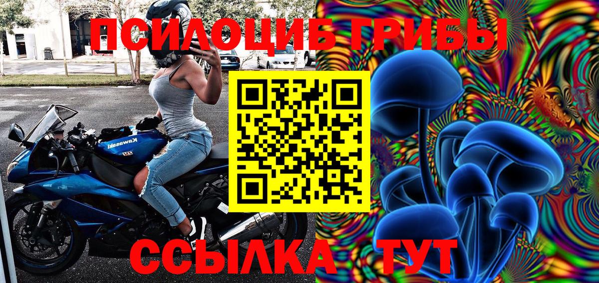 Псилоцибиновые грибы Cubensis  Галлюциногенные грибы ЛСД  Щёлково  Вход с VPN 